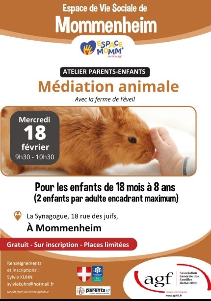 Atelier parents-enfants : Médiation animale