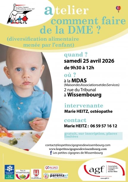 Conférence : Comment faire la DME ? (Diversification alimentaire menée par l'enfant)
