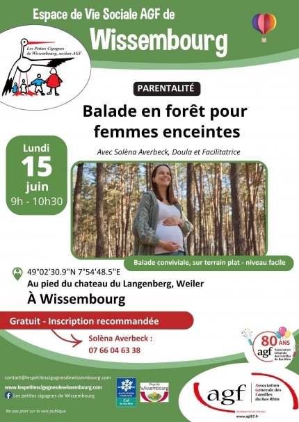 Balade en forêt pour femmes enceintes